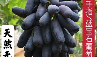 一斤葡萄有多少个 葡萄多少钱一斤